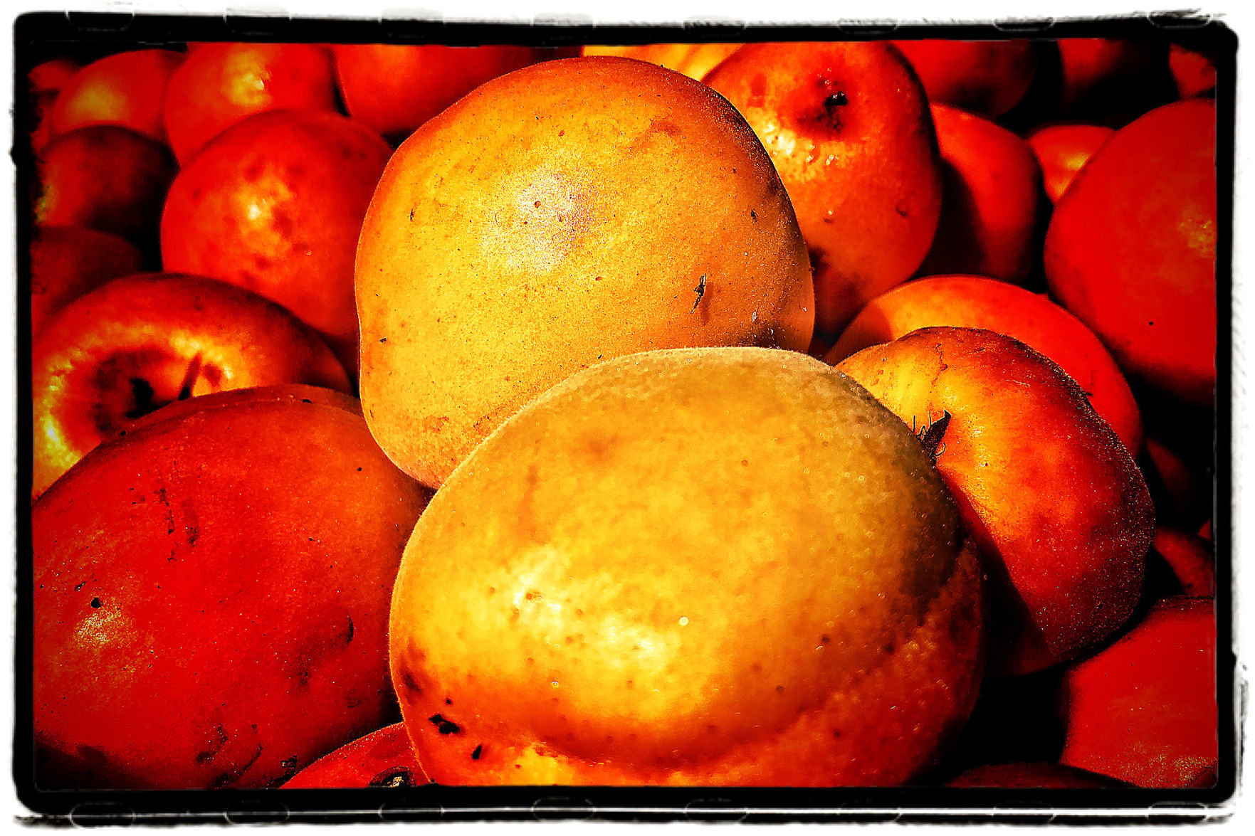 Farmers Market Produce